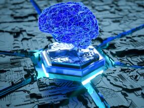 人摸人人人澡人超碰日本